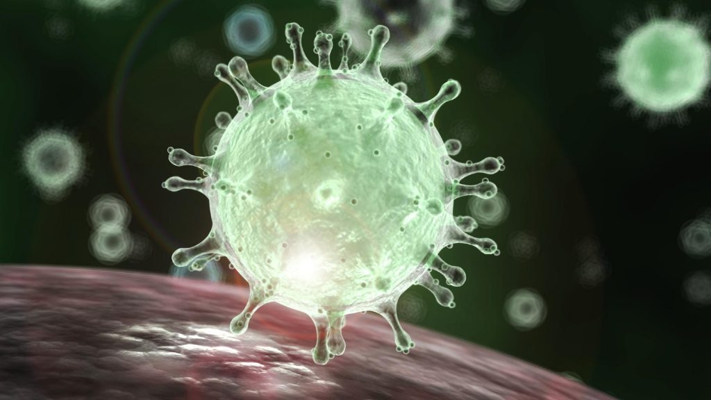 coronavirus