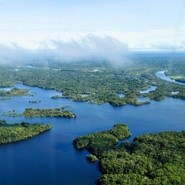 doc-amazonia