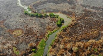O Pantanal