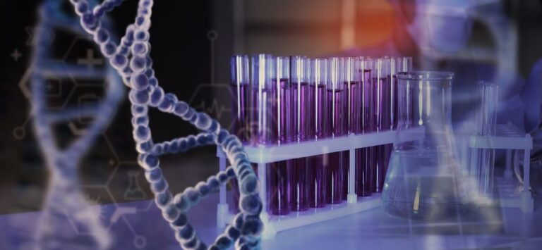 https://multivix.edu.br/blog/biotecnologia-e-saude/