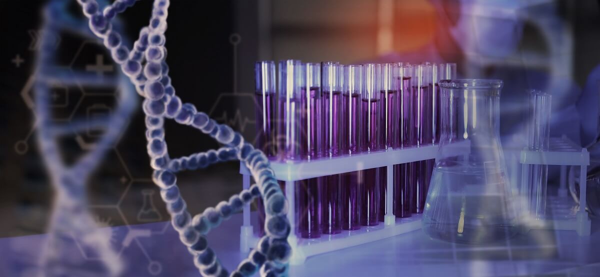 https://multivix.edu.br/blog/biotecnologia-e-saude/